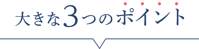 大きな3つのポイント