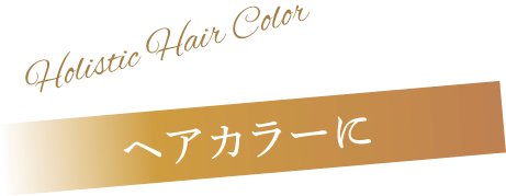ヘアカラーにプラス